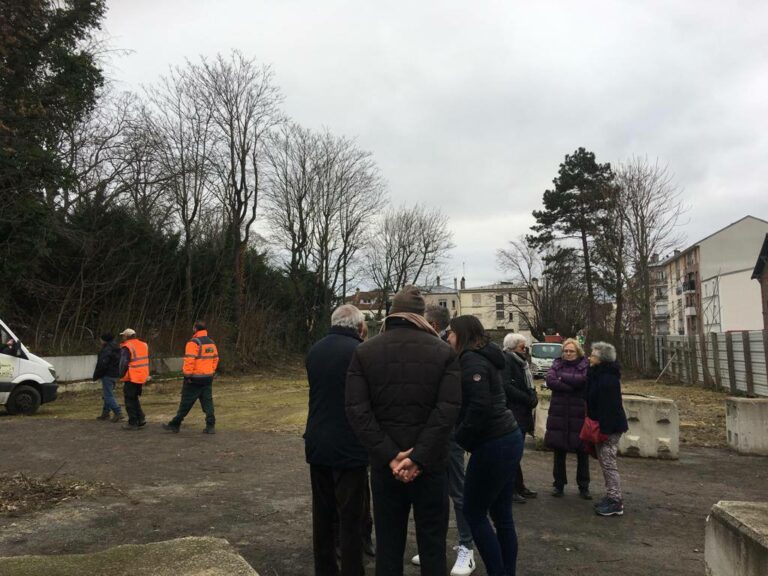 🌳 Tentative d’abattage d’arbres à Argenteuil !